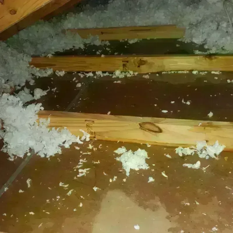 Attic Water Damage in Gas City, IN