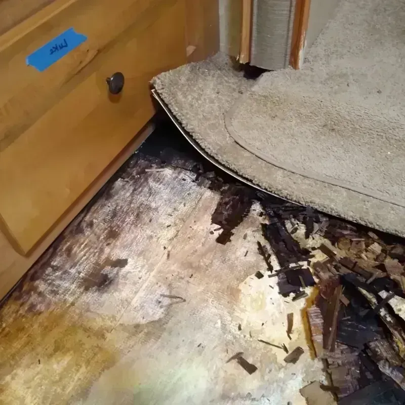 Wood Floor Water Damage in Gas City, IN